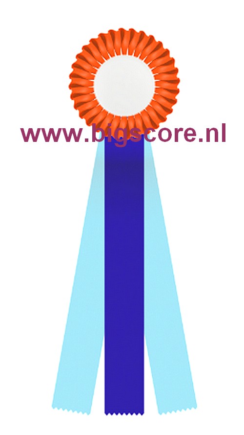 R 12 1-Ringsrozet Multi 3 liasters Blanco Ø 10,5 L: 25 cm met optie Full-Colour Ø 50 mm afslag